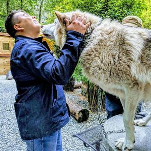 Meet your Posher, Logan